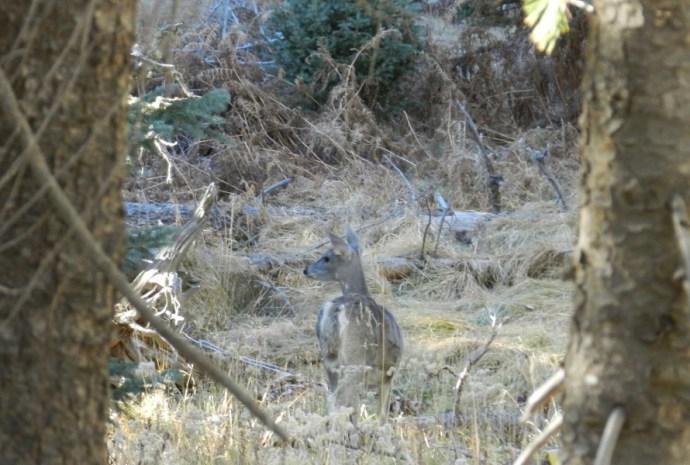 2013 -09-20 BRE 071T