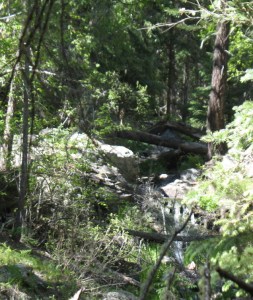 The Hidden Waterfall 