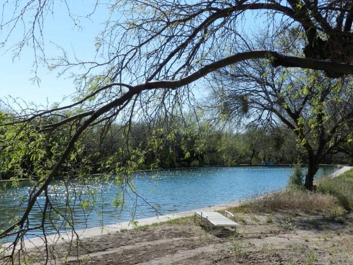 Pond from the Campsite