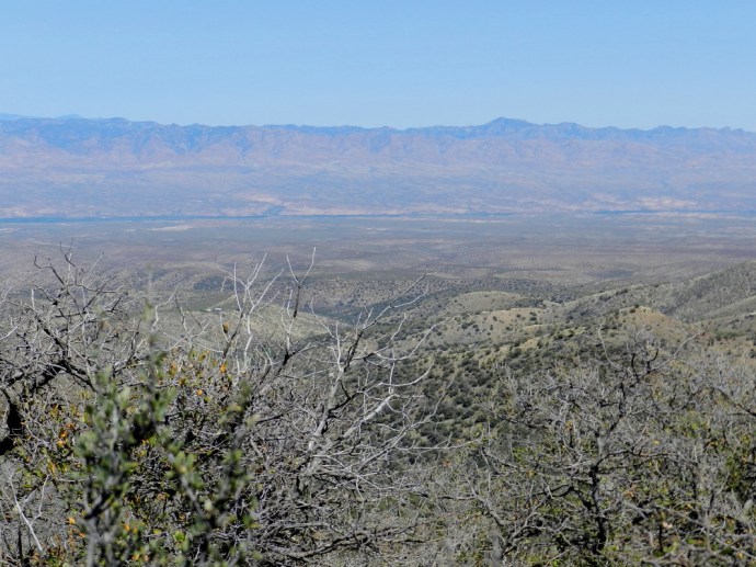 The San Pedro Valley and Beyond