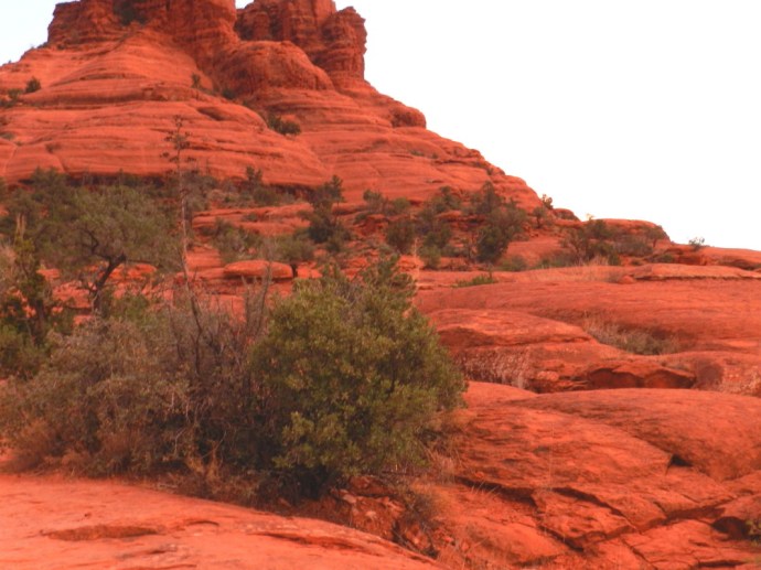 I had to dull the color on this photo. The real thing just looked too unreal!