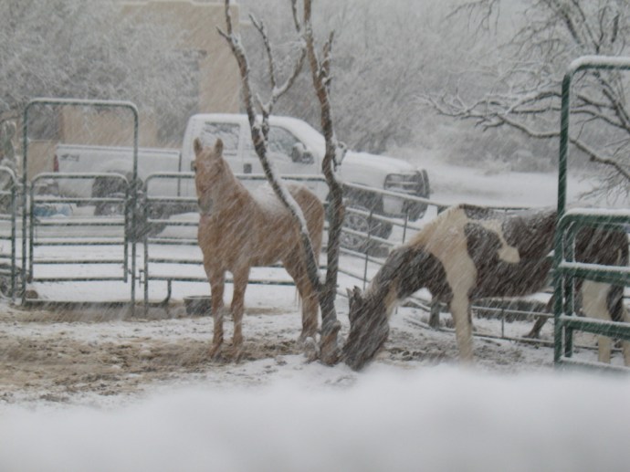 The neighbors Looking Miserable