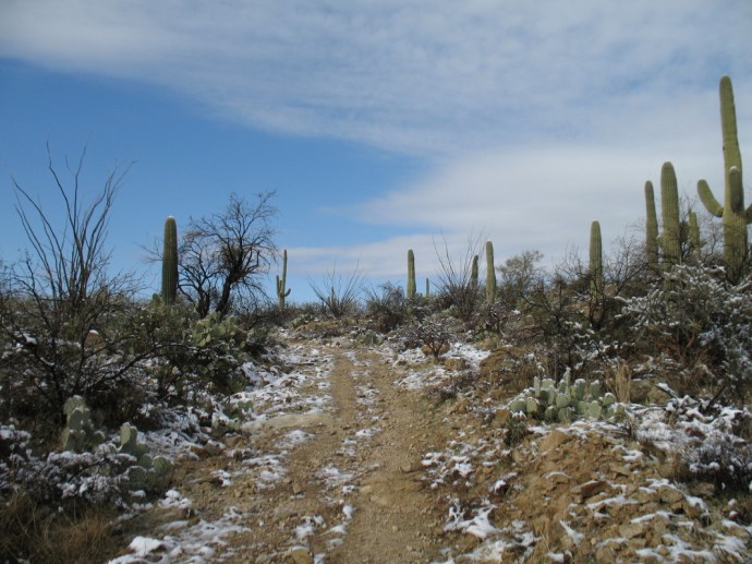The jeep trail looks to be a different world