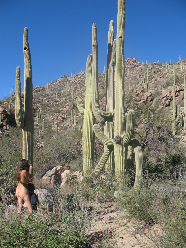 2016 Growing slowly, but surely.