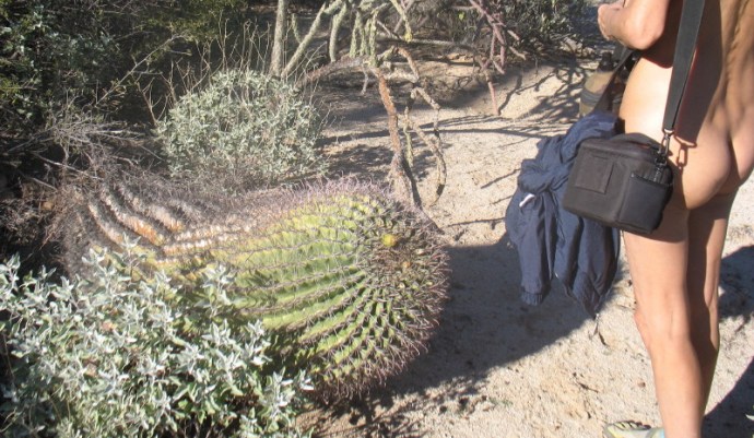 A Barrel Begins to Collapse
