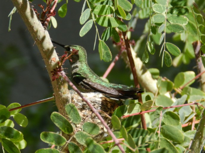 2014 2-14 Bisbee ValBRE 030_1