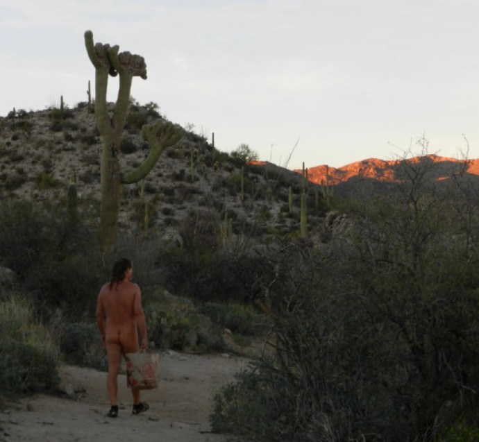 Strolling on a Tortolitan Trail, Under a Magnificent Crested