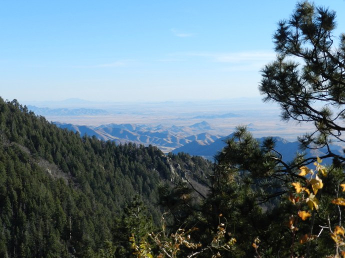 Mexico, Texas and Beyond 