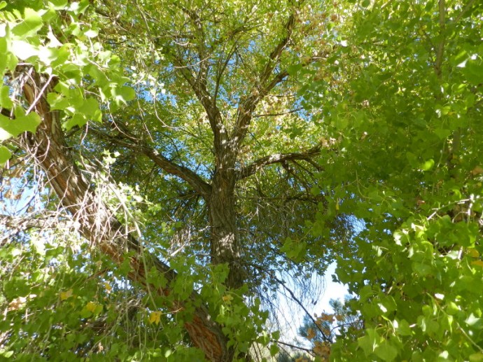 2013 -09-20 BRE 110_1