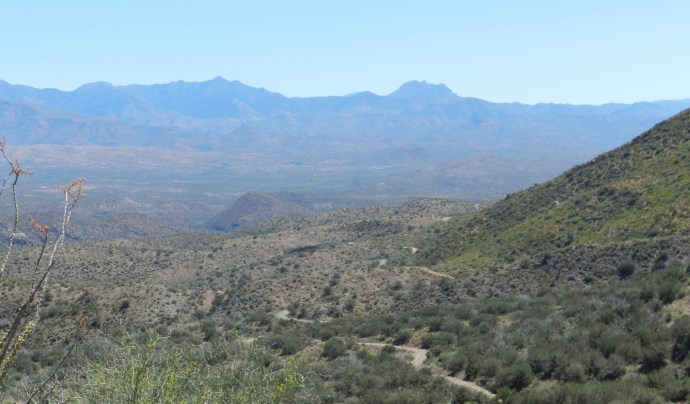 The Verde River Miles Ahead