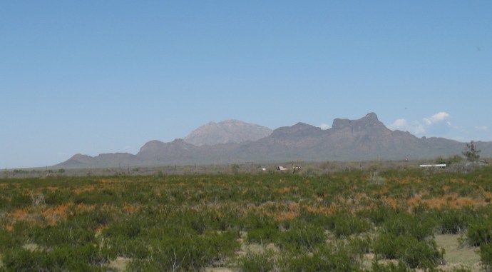 Picacho Peak in the distance.