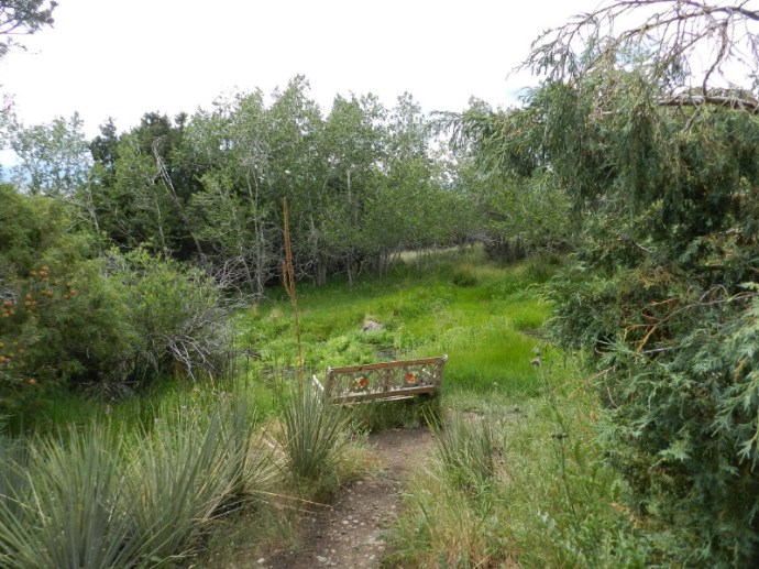 Bench by the Waterfall