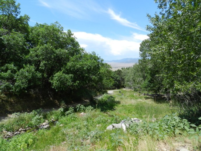 Charming: From the Main Soaking Pond