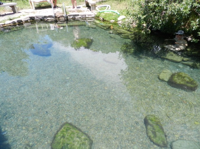 The Pool is Kinda Zen