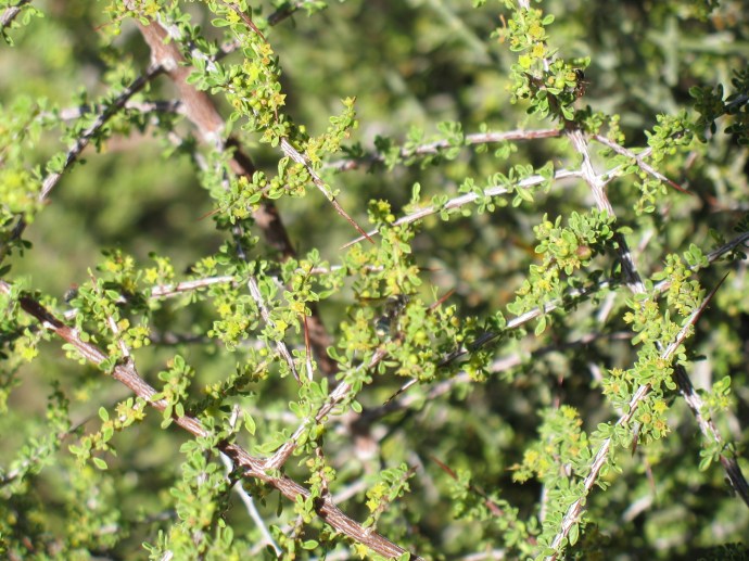 Everything needs its place and sometimes be hidden