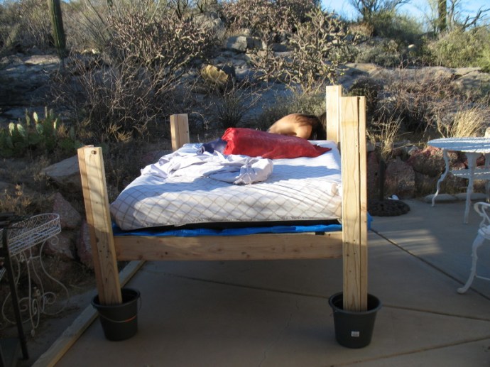 New Outdoor Bed