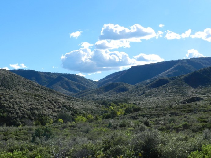 From the Parking Area