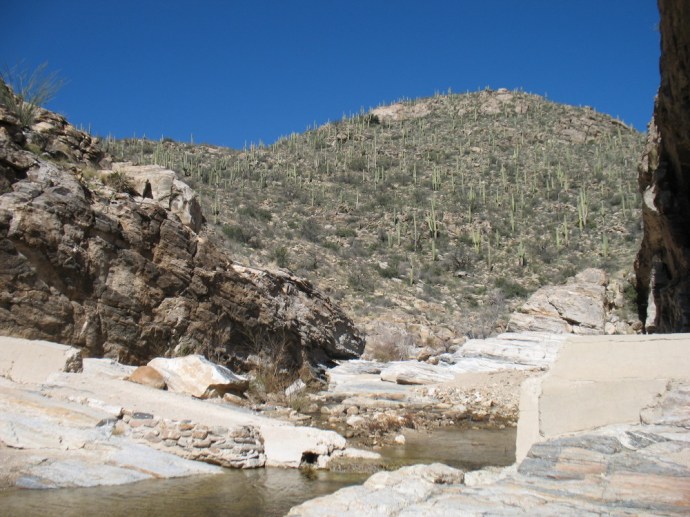 Remnants of the Dam and Where Once Stood a Tree 