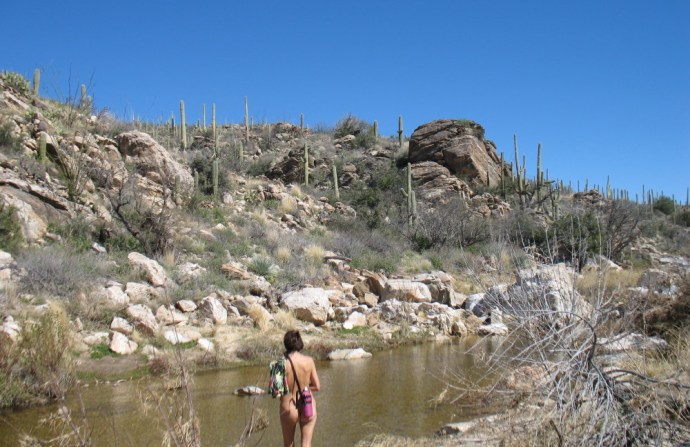 Canyon Walls Dissipate 