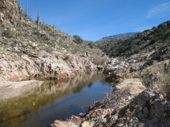 Discovery of the Olympic Pool 