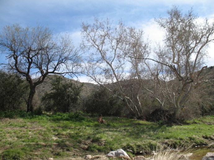 Sitting Down to Lunch