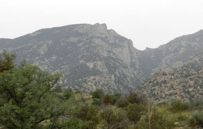 Misty Rincon Mountains 