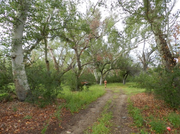 2013-09-07-bre-036_1