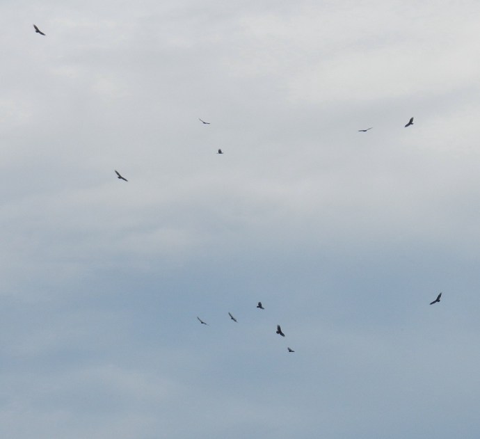 2013-09-07-bre-040t_1