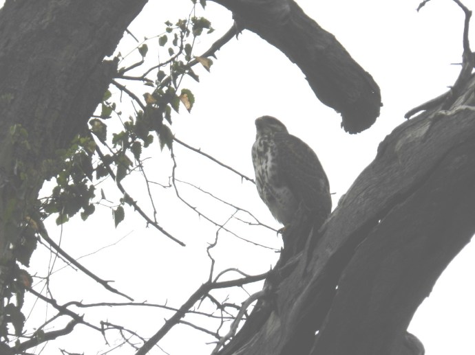 2013-09-07-bre-047b_1