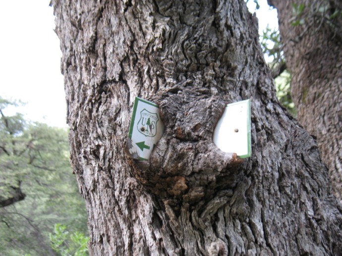 Rebellion Against the Feds