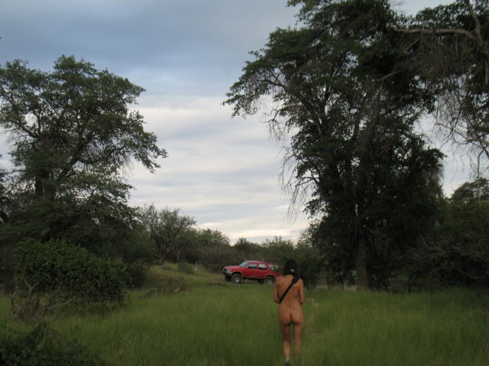 DF Returning to the Car