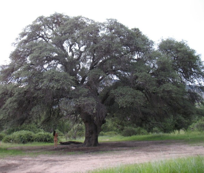 With Memories of Children