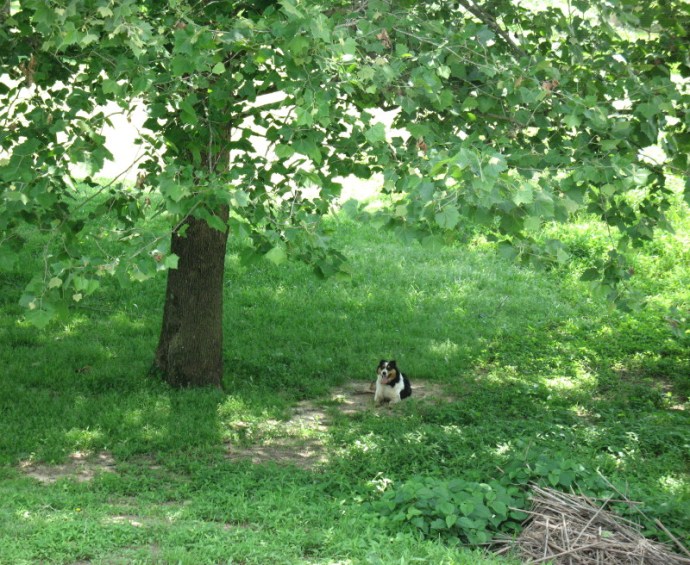 Nude Across America Pt.6: Mighty Mississippi The Free Range Naturist